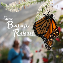 Butterfly Release