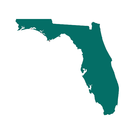 New Florida Licensure Requirements